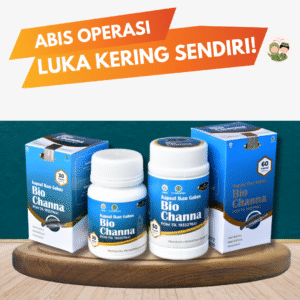 Kapsul Ikan Gabus | Bantu Pemulihan Luka