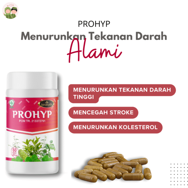 Obat Hipertensi & Darah Tinggi | Turunkan Tensi - Gambar 2