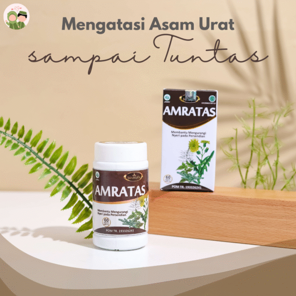 Obat Herbal Rematik Asam Urat - Gambar 2